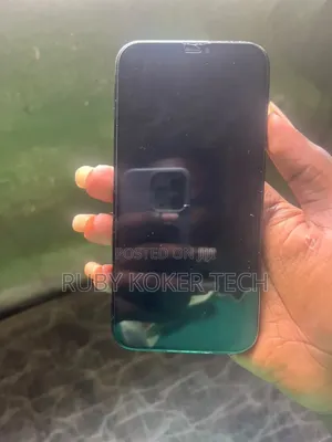 Apple iPhone 12 Pro Max 256 GB Blue