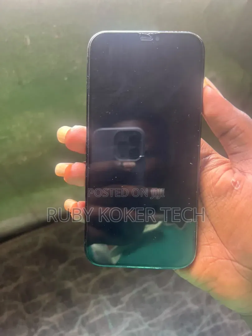 Apple iPhone 12 Pro Max 256 GB Blue
