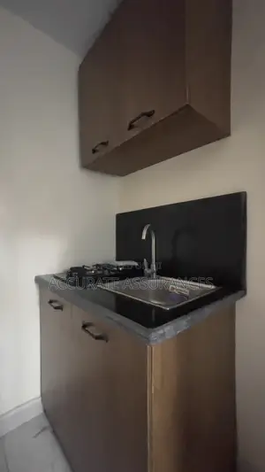 1bdrm Apartment in Ikota Villa for rent
