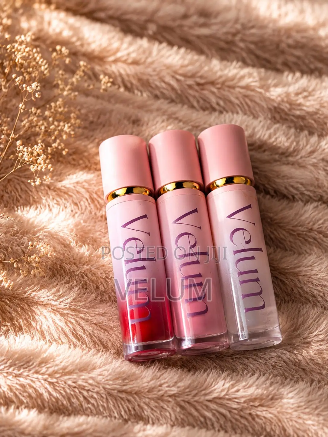 Velum Lip Gloss