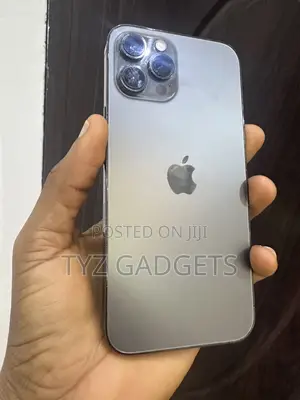 Apple iPhone 12 Pro Max 128 GB Gray