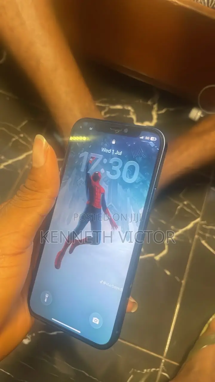 Apple iPhone 12 256 GB Blue