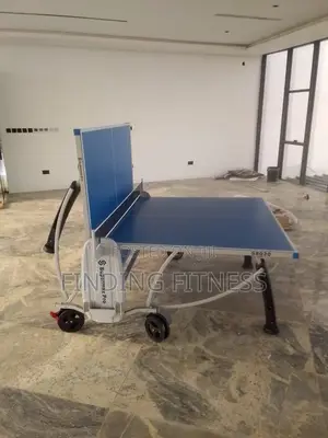 Big Leg Table Tennis