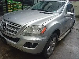 Mercedes-Benz M Class 2011 Silver