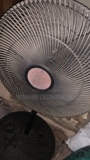 Small Ox Standing Fan