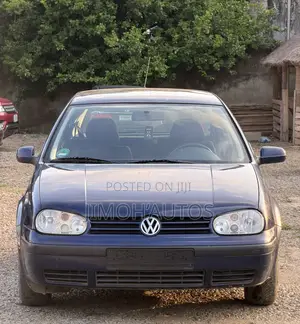 Volkswagen Golf 2005 Blue
