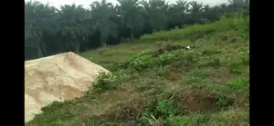 100x100 With Cofo