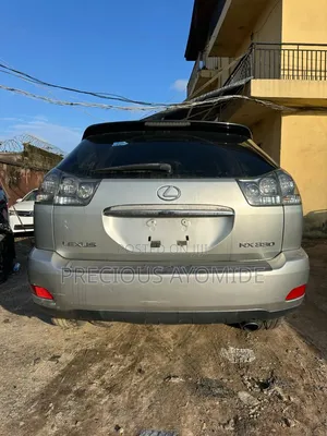 Lexus RX 330 2004 Silver