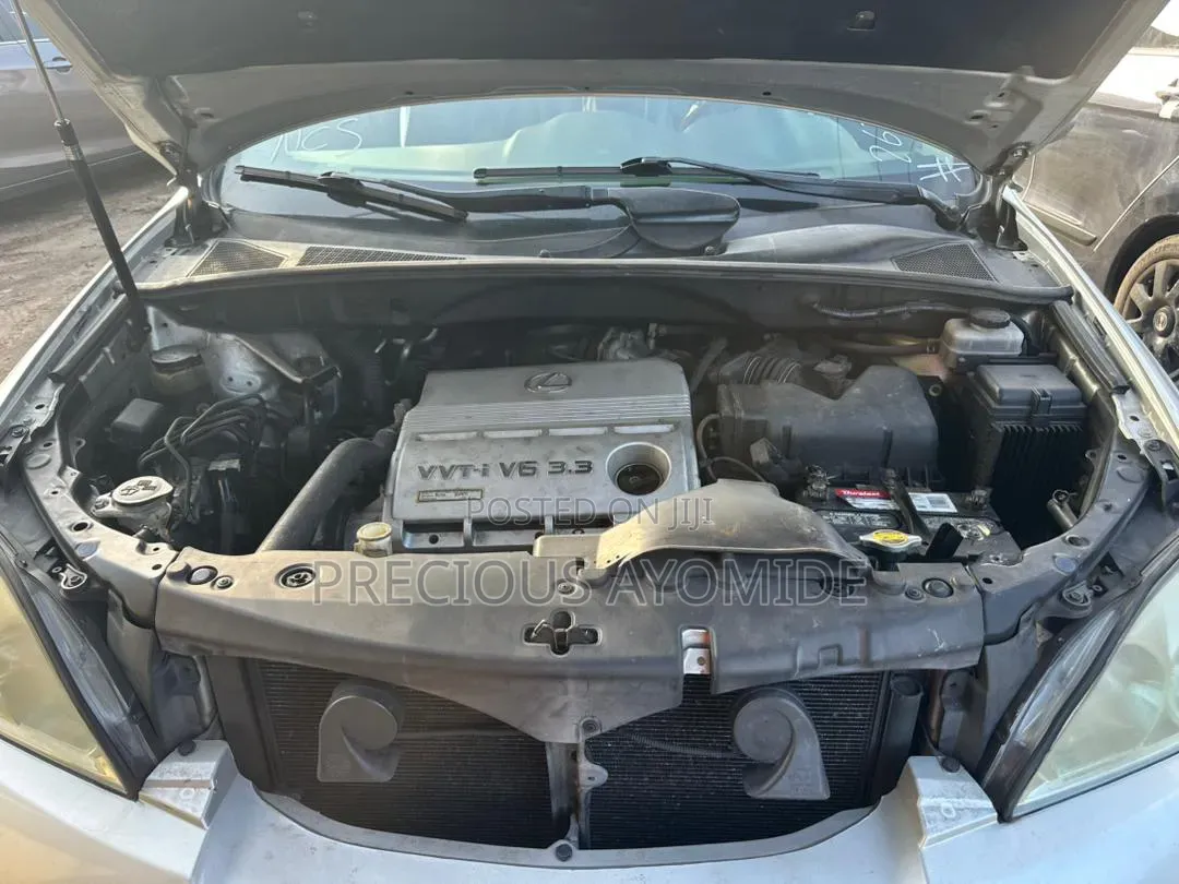 Lexus RX 330 2004 Silver