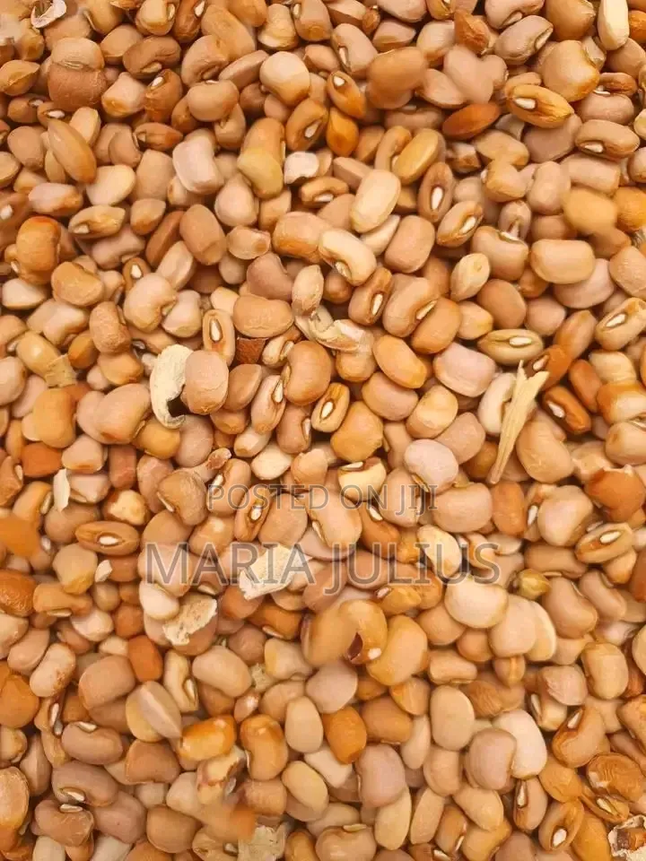 Brown Beans