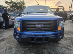 Ford F-150 2010 Blue