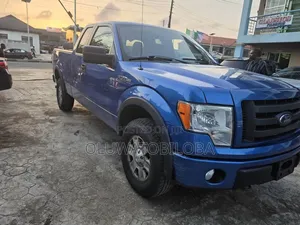 Ford F-150 2010 Blue
