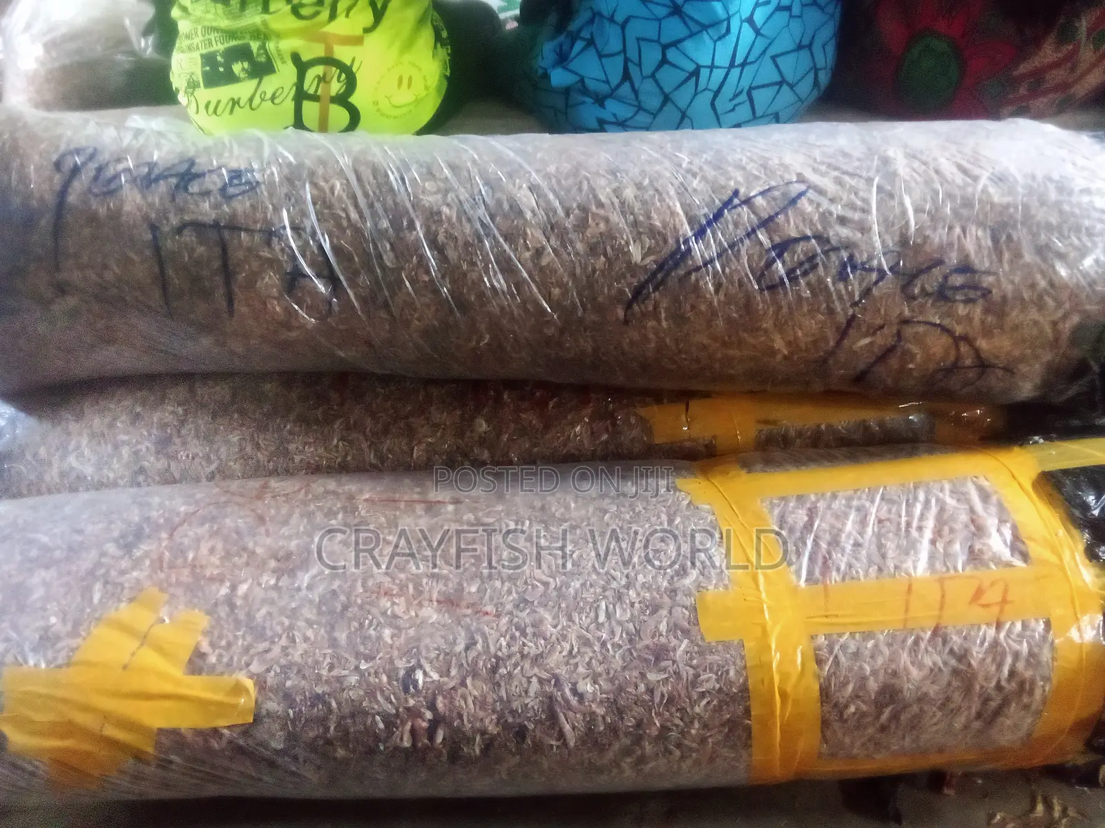 Oron Crayfish Massive Price Drop Alert!