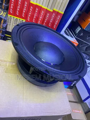 Omax 12 Inches Speaker
