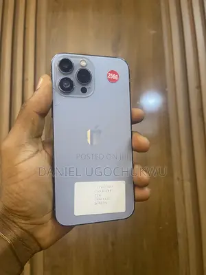 Apple iPhone 13 Pro Max 256 GB