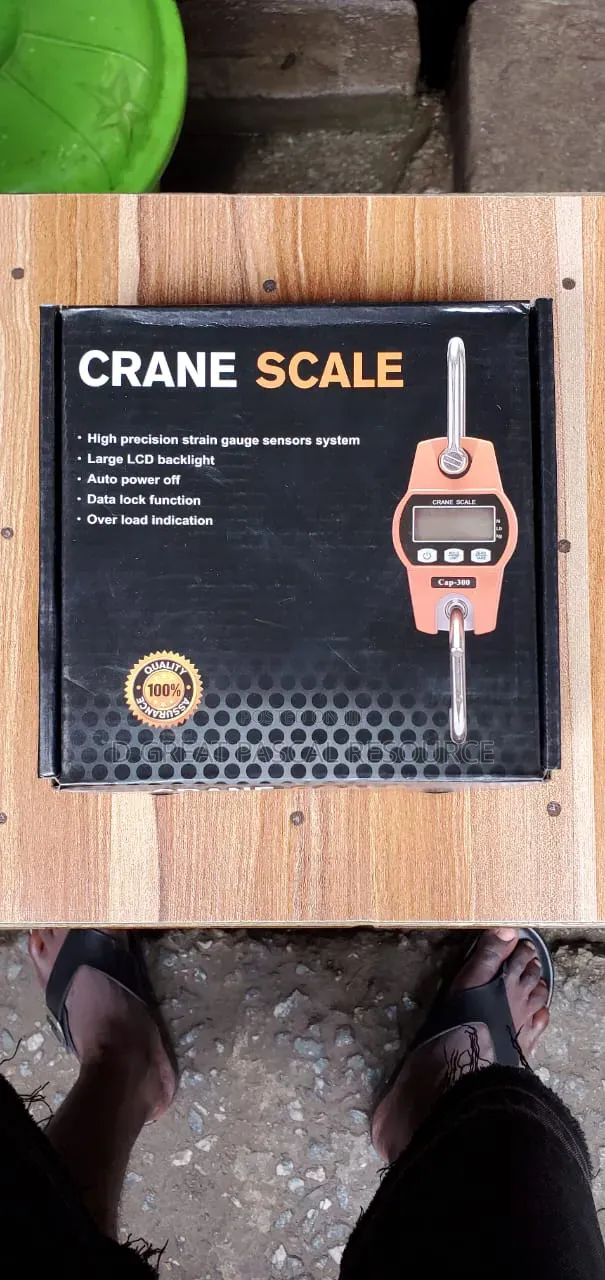 300kg Digital Mini Hanging Crane Scale