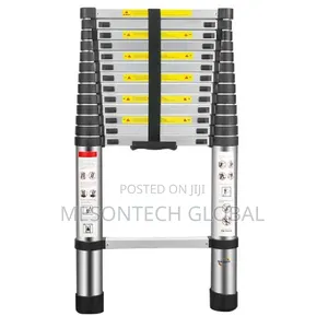 4.1m Telescopic Ladder