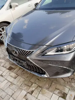 Lexus ES 350 F Sport 2020 Gray