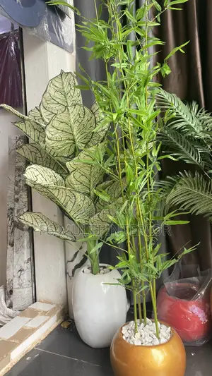 Quality Flowers