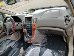 Lexus RX 2003 Gray