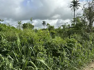 Land Good for Different Varieties of Crop and Animal Farmimg