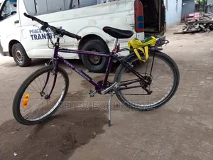 Dua Gear Bicycle Purple