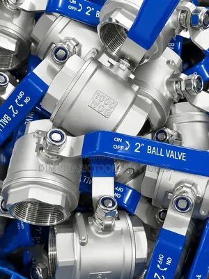 2-Inch Stainless Steel Ball Valves