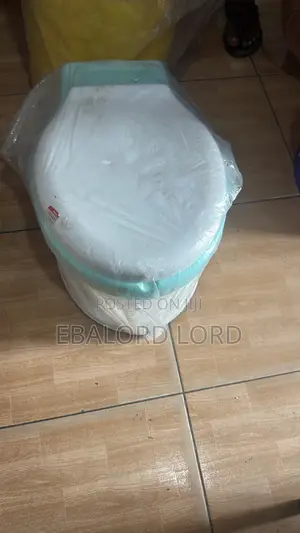 Potty Toilet