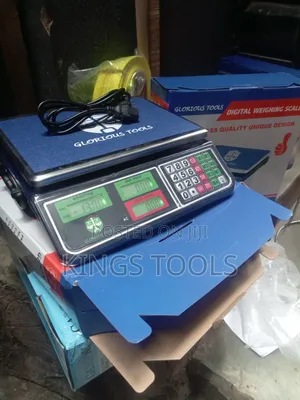 Electronic Pricing Scale 40kg