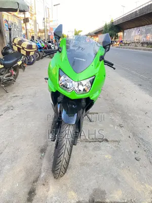 Kawasaki 2013 Green