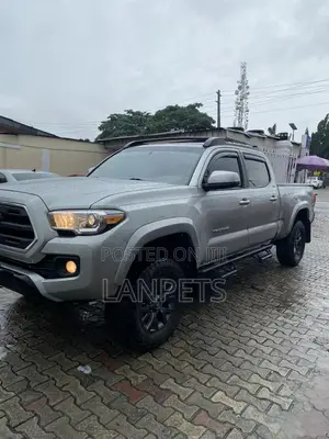 Toyota Tacoma 2017 Gray