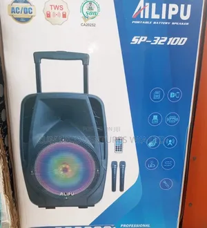12 Inches Biggest Size Pa System