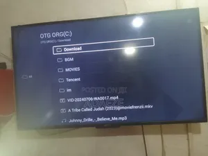 Flat Screen