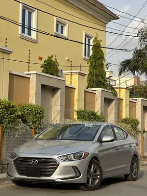 Hyundai Elantra ECO Sedan FWD (1.4L 4cyl 7A) 2017 Silver