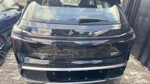 New Hongqi E-HS9 2025 Black