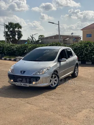 Peugeot 307 2007 Silver