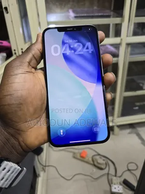 Apple iPhone 12 Pro Max 256 GB Blue