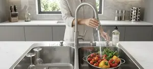 Premium Double Bowl Sink