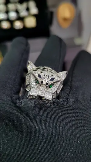 Elegant Rings for Men