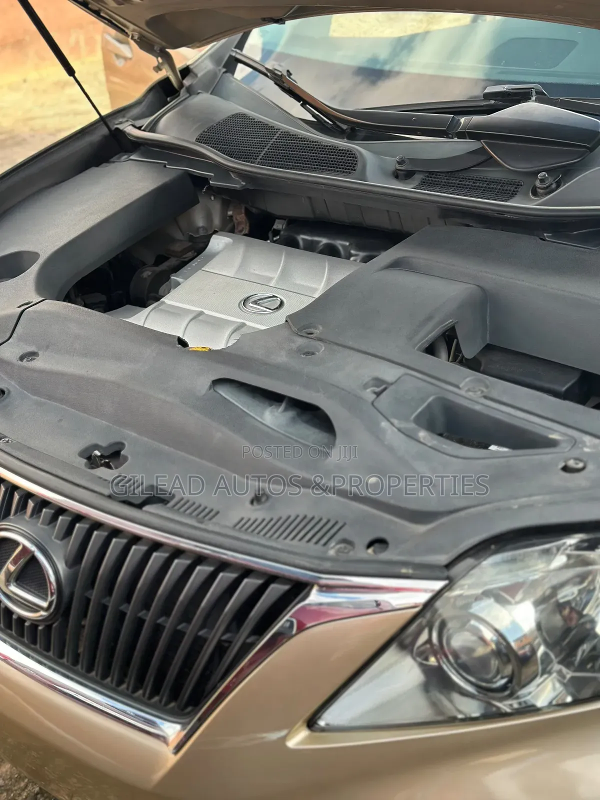 Lexus RX 2010