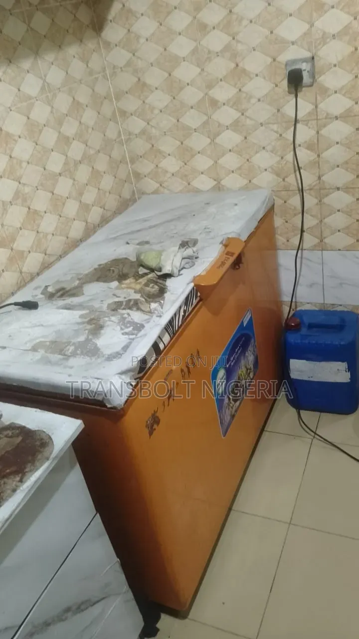 Scanfrost Chest Freezer