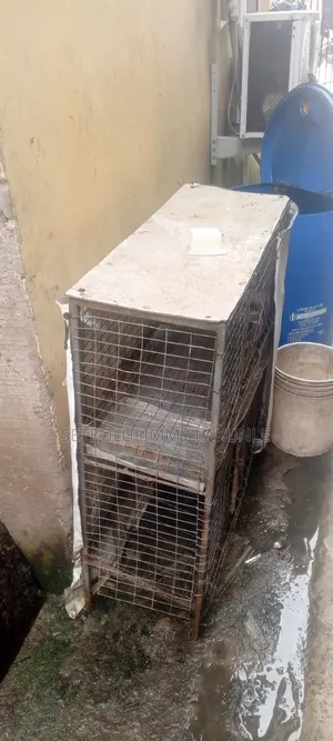 Chicken Cage