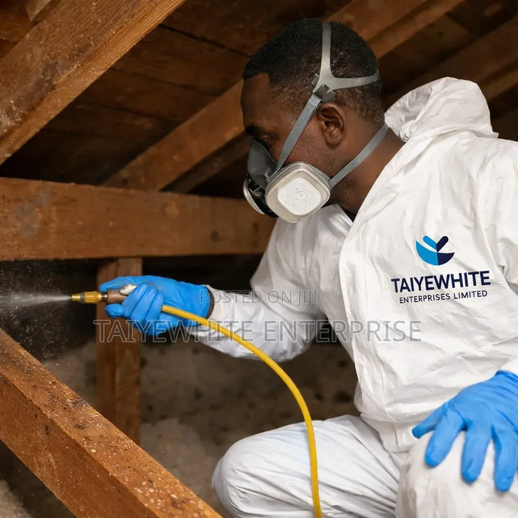 Bora ( Termite Treatment)