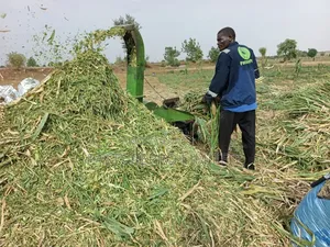 Silage Services