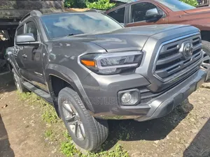 Toyota Tacoma 2019 Gray