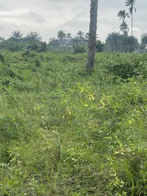 New Town Estate Omagwa