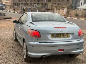 Peugeot 206 CC 2004 Silver