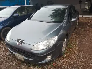 Peugeot 407 2009 Gray