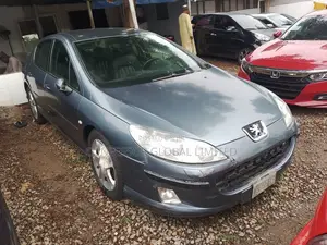 Peugeot 407 2009 Gray