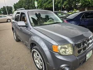 Ford Escape 2008 Gray